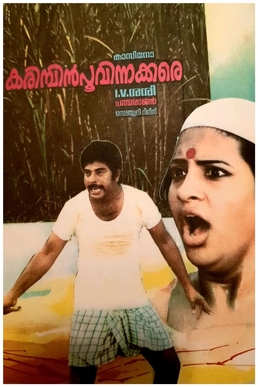 Karimpinpoovinakkare poster