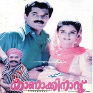Kaanaakkinaavu poster