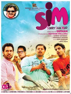 SIM poster