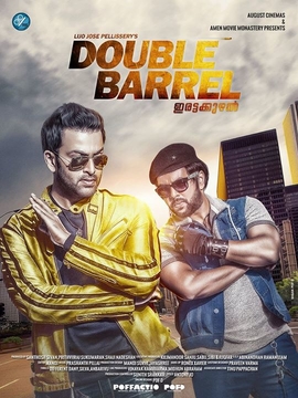 Double Barrel poster