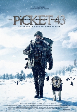 Picket 43 poster