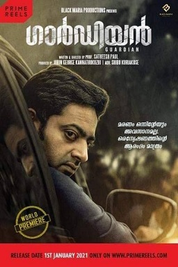 Guardian poster