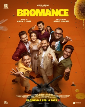 Bromance poster